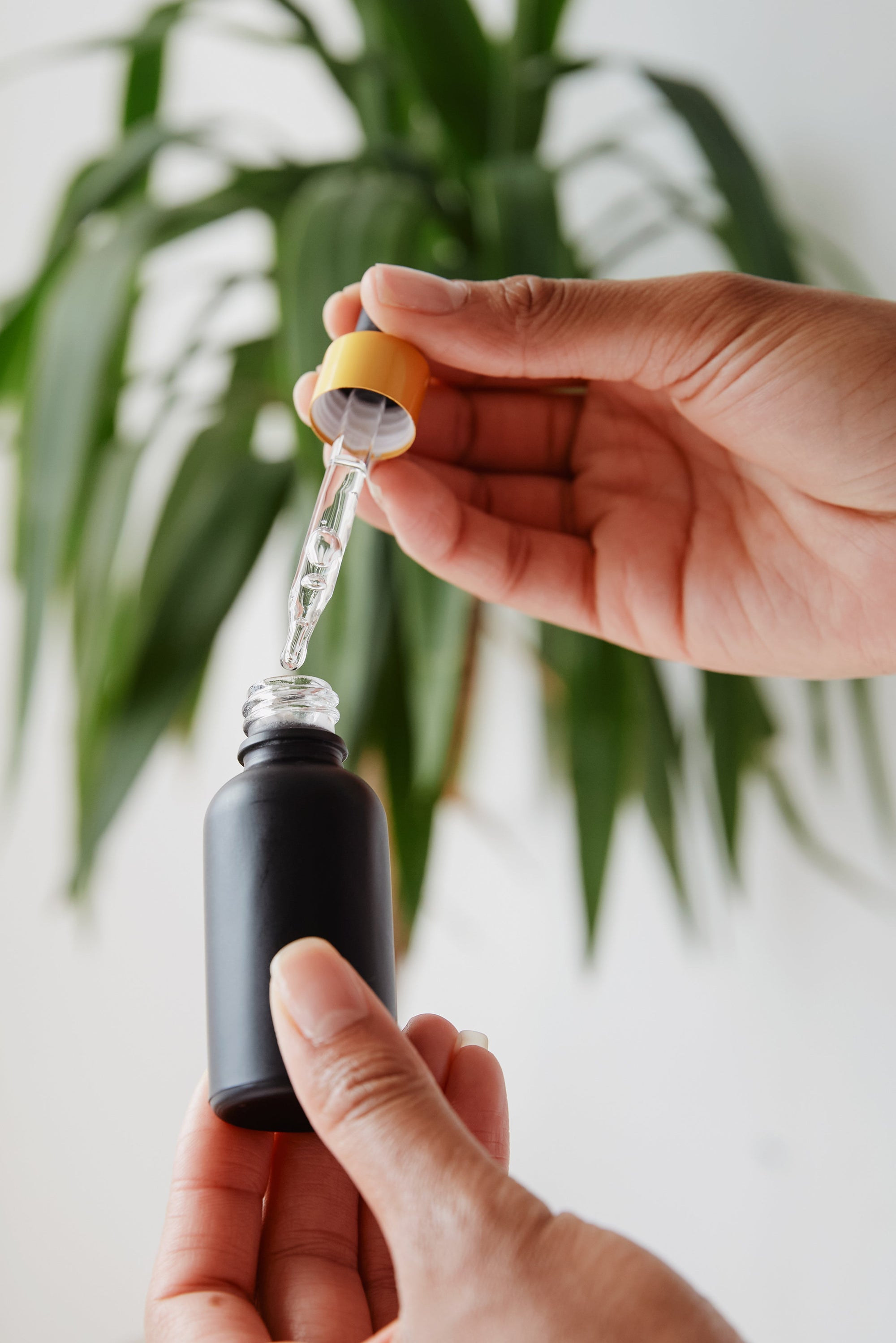 Hands opening a black perfume oil bottle with a clear white formula in front of a tall indoor plant. RIAJN eco-friendly, pet-friendly, parabens-free, and phthalates-free perfumes.