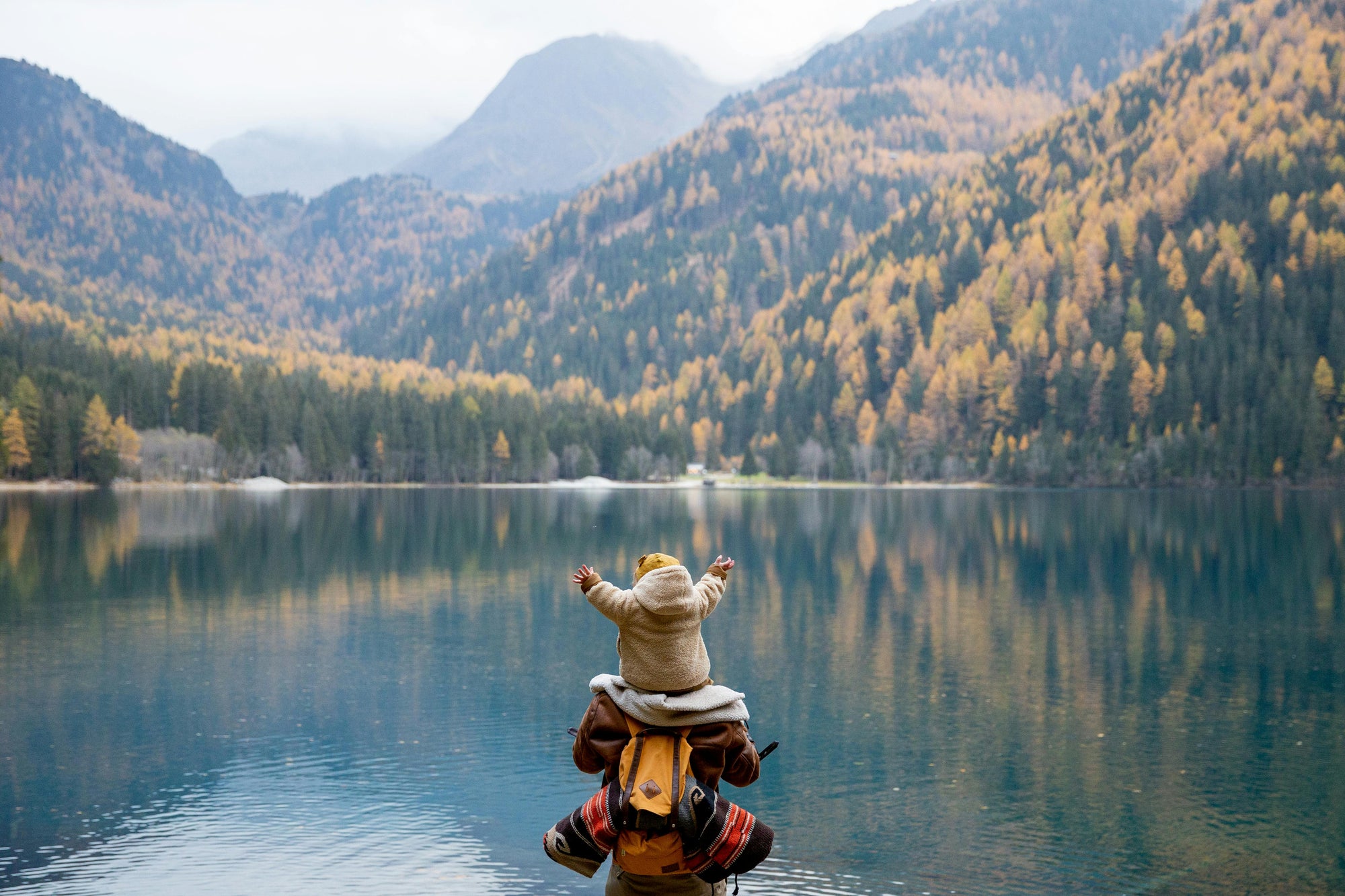 Small child, on their fathers shoulder, raising their hands to the sky standing in front of a beautiful lake with thousands of yellow and green pine trees.